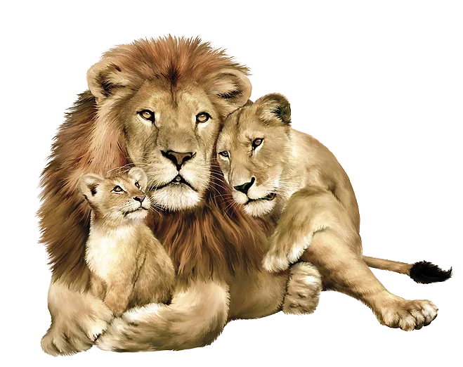FREE PNG FILES SOURCE